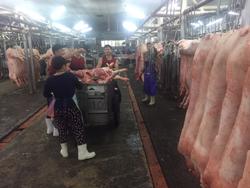 Giá heo Tết giảm mạnh