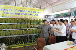 Dấu ấn thu hút đầu tư ở huyện Krông Pắc