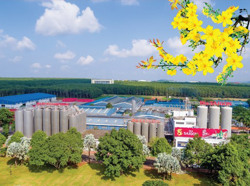 Bia Sài Gòn - Tiếp tục khẳng định vị thế của một thương hiệu mạnh