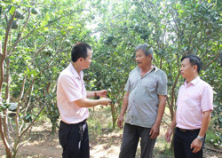 Những dấu ấn đầu nhiệm kỳ ở huyện Ea Súp