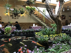 Xuân này không lễ hội!