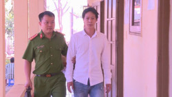 Bắt giữ đối tượng tàng trữ hơn 400 sản phẩm ngà voi