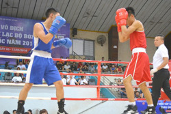 Đắk Lắk lần thứ tư liên tiếp đăng cai Giải vô địch cúp các Câu lạc bộ Boxing toàn quốc