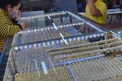 Giá vàng hôm nay 13-3: Đà tăng bị cản, USD mạnh lên trên diện rộng