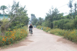 Xây dựng nông thôn mới nâng cao ở Băng Adrênh