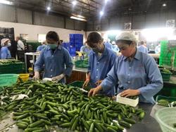 Diễn biến lạ trên thị trường rau, củ, quả