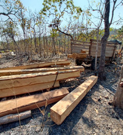 Phát hiện vụ phá rừng tại lâm phần Công ty TNHH MTV Lâm nghiệp Chư Phả