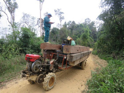Ký kết quy chế phối hợp quản lý, bảo vệ rừng vùng giáp ranh