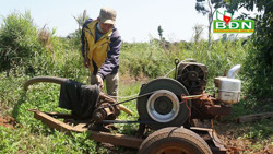 Người dân Đắk Sắk chủ động nguồn nước chống hạn cho cà phê
