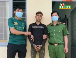 Bắt đối tượng bị truy nã trốn đến địa bàn xã Thuận Hà hái tiêu