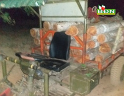 Bắt giữ 4 xe cày chở gỗ lậu trong đêm