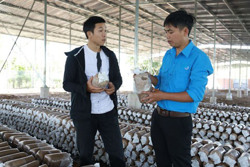 Tạo đà cho thanh niên khởi nghiệp