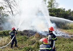Mùa hè năm nay có khốc liệt?