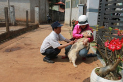 Ghi nhận một trường hợp tử vong do bệnh dại