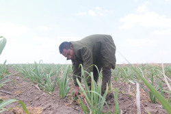 "Chỗ dựa" của người dân vùng biên