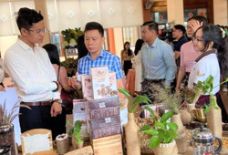 Nâng cao giá trị cho cây cà phê