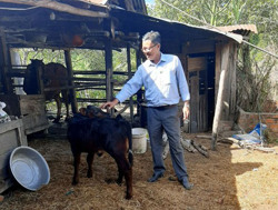 Triển vọng từ cải tạo đàn bò giống 3B ở huyện Krông Bông
