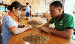 Bố trí 100 tỷ đồng vốn điều lệ cho Quỹ Bảo lãnh tín dụng cho doanh nghiệp nhỏ và vừa