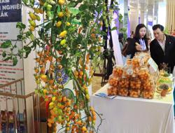 Đắk Lắk đầu tư 300 tỉ đồng thực hiện đề án chuyển đổi số