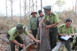 Huyện Ea H'leo: 6 hộ dân trả lại đất xâm canh trái phép
