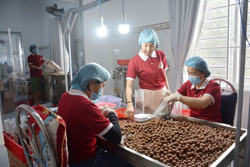 Trên hành trình xây dựng hệ sinh thái khởi nghiệp (Kỳ 2)