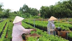 Phân bón tăng giá chóng mặt, nông dân gặp khó