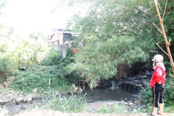 Người dân bức xúc vì trại chăn nuôi heo gây ô nhiễm môi trường