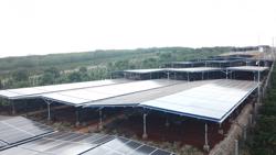  [Kỳ 2]: 'Đội lốt' trang trại nông nghiệp để trục lợi chính sách