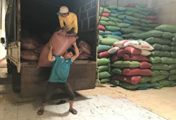 Huyện Cư Kuin tổng giá trị sản xuất quý I đạt trên 2.000 tỷ đồng