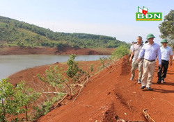 Mở đường, san gạt đất đá, lấp rừng bán ngập tại lòng hồ Thủy điện Đắk R'tíh là sai