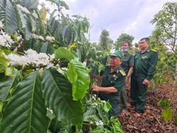 Cựu chiến binh Ea Hiao giúp nhau phát triển kinh tế