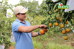 Một thanh niên đam mê nông nghiệp sạch