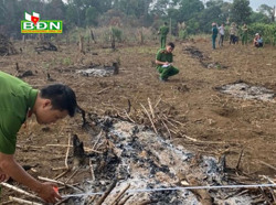 Lấn chiếm đất rừng và đánh 2 nhân viên bảo vệ rừng nhập viện