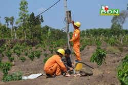 Tăng cường kiểm tra, giám sát mua bán điện
