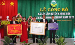 Công bố xã Tân Lập (huyện Krông Búk) đạt chuẩn nông thôn mới