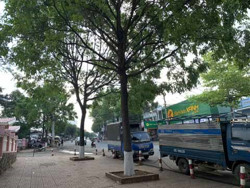 Đã tháo dỡ, thu hồi các đoạn cáp không sử dụng trên tuyến đường Phan Bội Châu