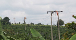 Chủ động cấp điện vào cao điểm mùa khô