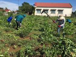 Người "thắp lửa" phong trào thanh niên