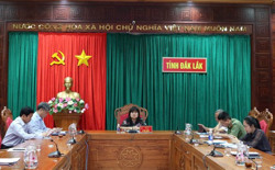 Xử lý nghiêm các trường hợp nhập cảnh trái phép để phòng chống dịch Covid-19