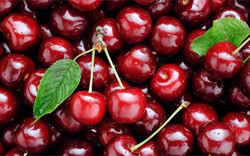 Những loại trái cây không nên ăn quá nhiều trong mùa hè