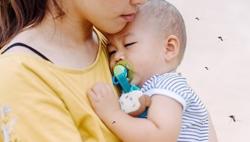 6 biện pháp phòng viêm não virus trong mùa hè