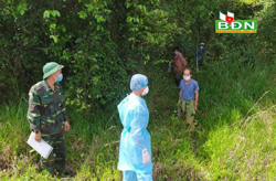 Đồn biên phòng Đắk Tiên bắt giữ 2 đối tượng vượt biên trái phép