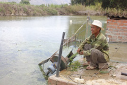 Vươn lên từ mô hình kinh tế tổng hợp