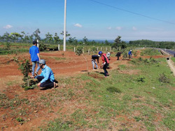 Dấu ấn tuổi trẻ Buôn Hồ