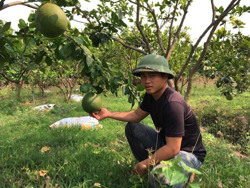 Phát triển kinh tế trên mảnh đất quê hương