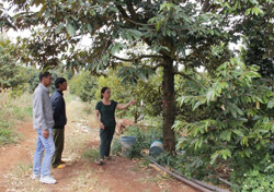 Hiệu quả mô hình Tổ an ninh tự quản buôn Ea Kring