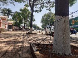 Dây điện "vắt vẻo" lòng lề đường