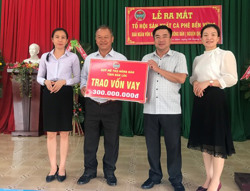 Ra mắt Tổ hội sản xuất cà phê bền vững