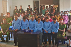 Đóng giả cô dâu, chú rể... lừa đảo chiếm đoạt tài sản