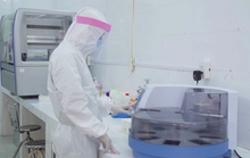 8 bệnh nhân nhiễm biến thể SARS-CoV-2 "đột biến kép" ở Ấn Độ